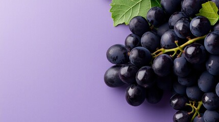 Fototapeta premium Fresh dark grapes on purple background