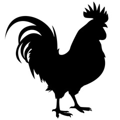 Rooster silhouette standing in side view, isolated on white background. Vector illustration for signs, icons, logos, stickers, and templates. Editable and scalable EPS file