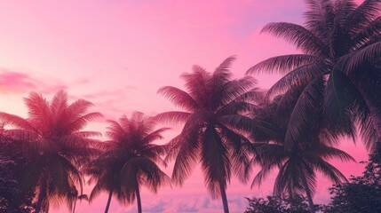 Vibrant pink sunset illuminating swaying palm trees in tropical paradise