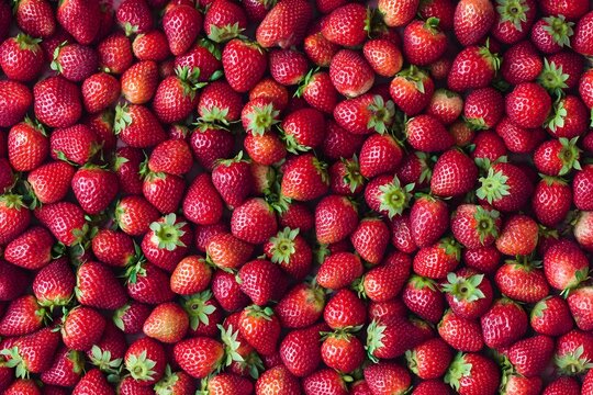 Vibrant red strawberries scattered across a rustic wooden surface in a sun-kissed kitchen inviting a taste of summer freshness
