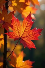 Fototapeta premium Close-up of colorful autumn leaves Maple, oak, birch, chestnut foliage , green, plant, yellow