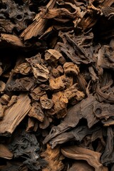 Pile of Dried Wood Pieces