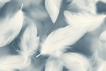 Naklejka premium Soft white feathers creating a beautiful textured background, ideal for delicate and elegant designs