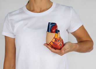 Woman holds anatomical heart model showcasing colorful layers