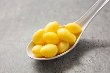 Ginkgo biloba in a white spoon grey background