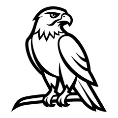 eagle on a white background