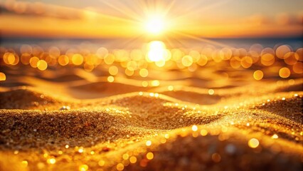 Warm sunlight filters through the sandy beach