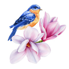Watercolor Blue Bird on Blooming Magnolia Branch. Hand Painted Spring Floral Illustration for Prints, cards, art decor