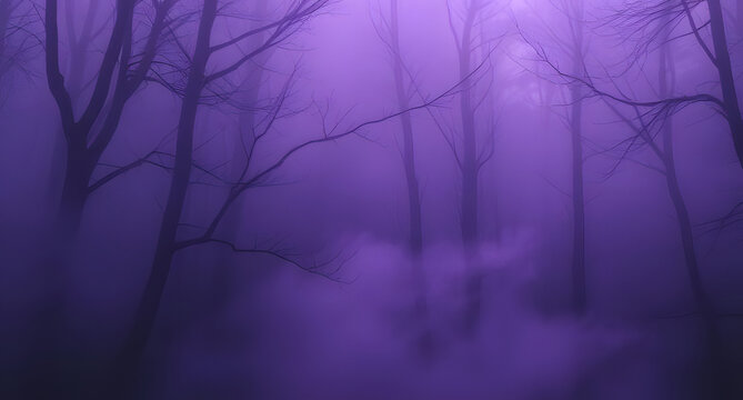 Purple and black mystical fog abstract background. Haunted forest energy