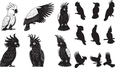 Cockatoo Silhouettes © Rizwan Ahmad