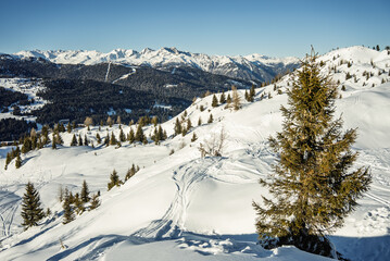 Dolomites in winter. View of sunny winter in dolomites, alps. Italy, Madonna di Campiglio village and a ski resort in Italy. Madonna di Campiglio resort in Val Rendena dolomites trentino Italy.
