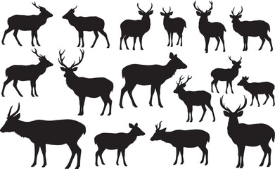 Sambar Deer Silhouette © Rizwan Ahmad