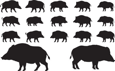 Wild Boar Silhouette