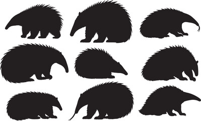 Spiny Anteater Silhouette
