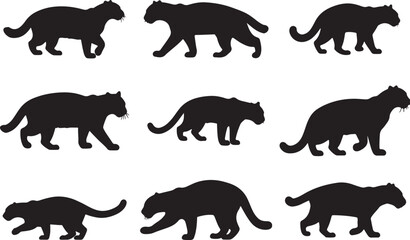 Sunda Clouded Leopard Silhouettes