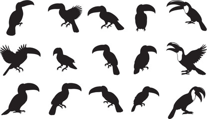 Toucan Silhouette Set © Rizwan Ahmad