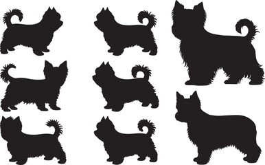 Yorkshire Terrier Silhouette
