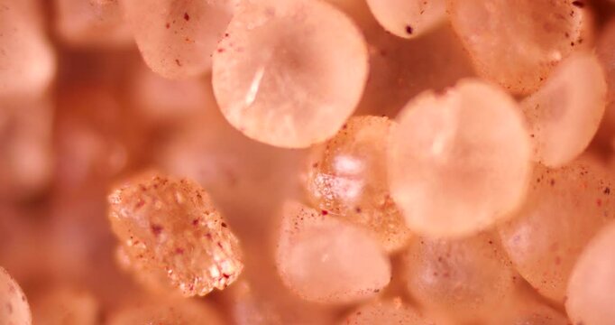 Close-up video of circular BCP particles under microscope showing structural details at 100x magnification