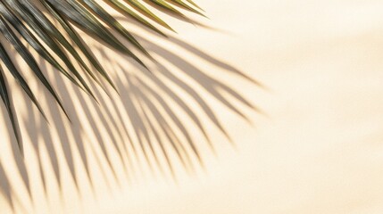Obraz premium Serene Palm Leaf Shadow Gracing Sunlit Sandy Texture