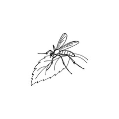 Set of Mosquito Silhouette vector illustration, Close Up Mosquito Silhouette