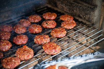 Raw Food Lamb and Cow Meatballs