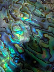 color pearl shell texture