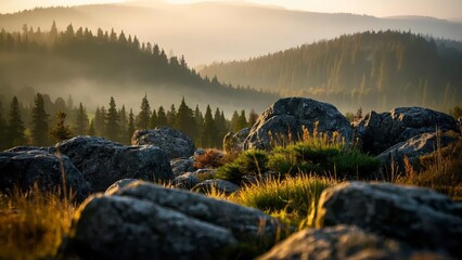 Serene forest landscape at sunrise with layers of mist covering rolling hills, casting golden light over dense evergreen trees