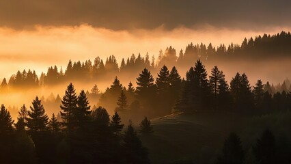 Serene forest landscape at sunrise with layers of mist covering rolling hills, casting golden light over dense evergreen trees