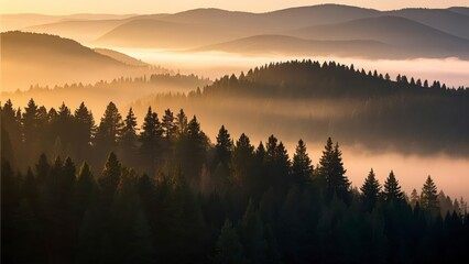 Serene forest landscape at sunrise with layers of mist covering rolling hills, casting golden light over dense evergreen trees