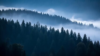 Serene forest landscape at sunrise with layers of mist covering rolling hills, casting golden light over dense evergreen trees