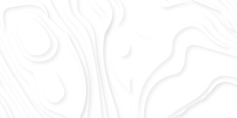 Premium podium made of paper on pastel background with plant, Abstract lines background. Contour maps .Topo contour map on white background, Topographic contour lines.
