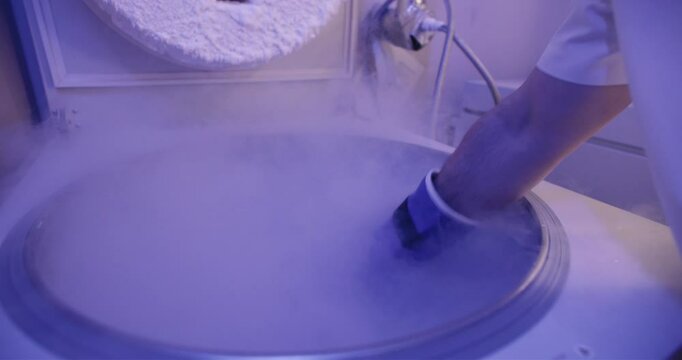 Embryos frozen in liquid nitrogen