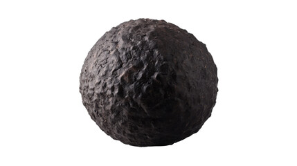 Fototapeta premium black edible winter truffle isolated on white background