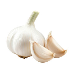 Fresh garlic bulb with cloves on a transparent background