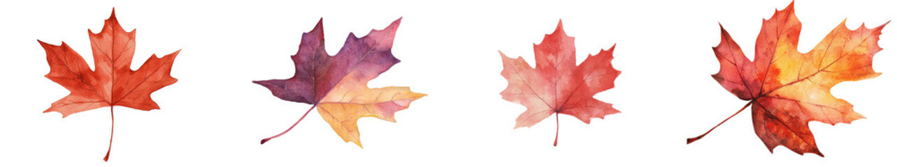 The illustration features a watercolor maple leaf in autumn colors, making it a perfect choice for designs centered around fall and nature, and it is isolated on a transparent background, available