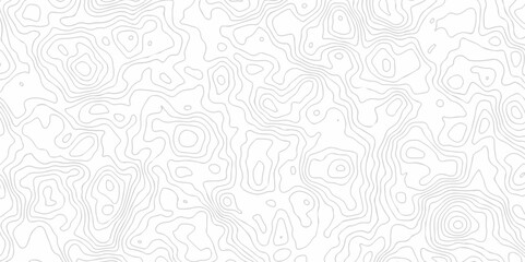 Abstract minimal The patter discovery vector topo map creative discovery White wave grid stripe line map topography. vector geographic contour mounted map background.	
