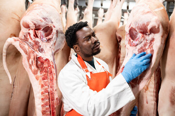 Food factory worker or butcher moving fresh raw meat in slaughterhouse.