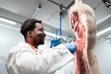 Experienced butcher using electric saw and cutting pork meat in food factory.