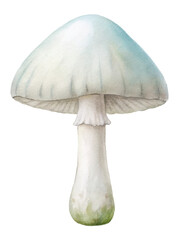 Watercolor mushroom illustration, soft pastel colors, nature art, botanical design, organic decor, eco-friendly theme.