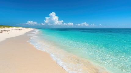 Tranquil Tropical Beach with Clear Water and Blue Sky