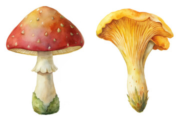 Watercolor mushroom illustration, vibrant red cap, yellow gills, botanical art style, nature-inspired design.