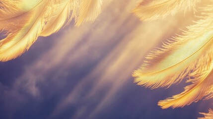 Golden Feathers Caressed By The Soothing Light