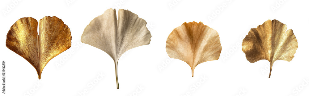 Poster With its unique fan-shaped structure, the Golden Ginkgo Leaf exhibits a kaleidoscope of autumn colors and delicate details, all isolated on a transparent background in a png file