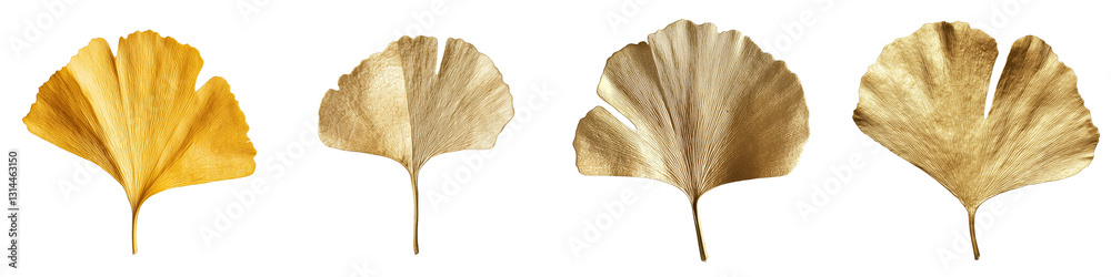 Poster A Golden Ginkgo Leaf With Veins is displayed, accentuating its textured appearance and autumn colors, with a transparent background and in png format