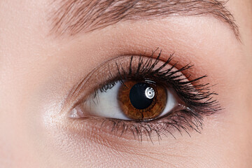 Fototapeta premium Young woman with brown eyes. Closeup