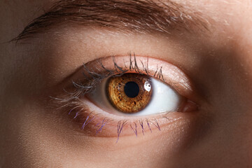 Naklejka premium Young woman with beautiful lashes and hazel eyes. Closeup
