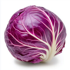 Red cabbage in detailed view on a plain white background