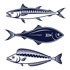 vector illustration of fish