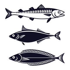 fish on a white