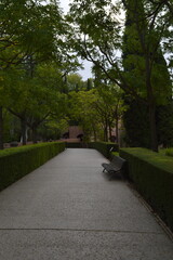 Caminhar pelo jardim